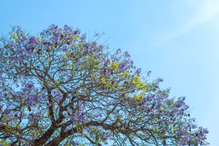 Photo Color psychology